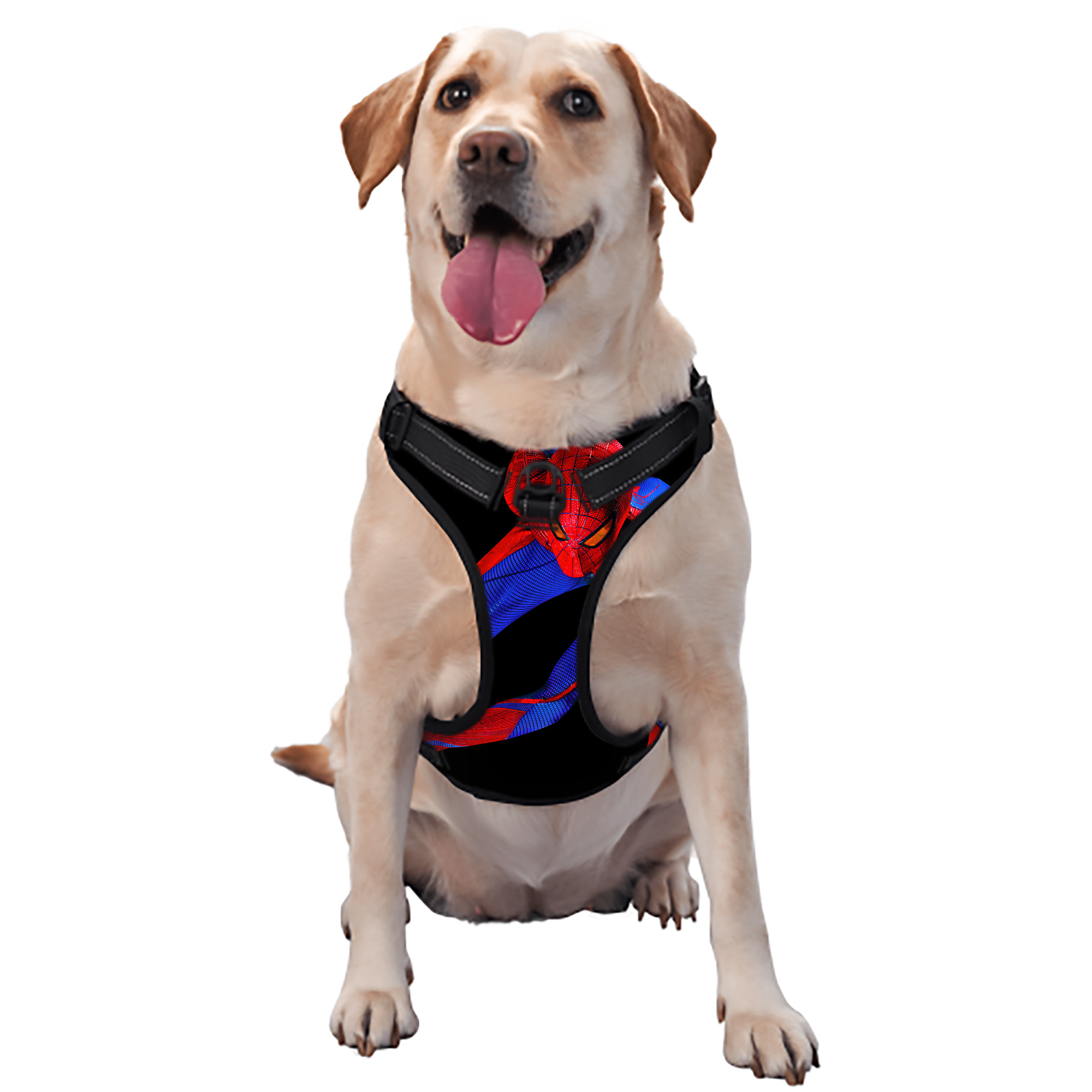 （画像用） Spider Man スパイダーマン ペット用ハーネス